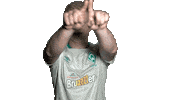esports werderesports Sticker by SV Werder Bremen