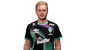 Fifa Easports Sticker by SV Werder Bremen