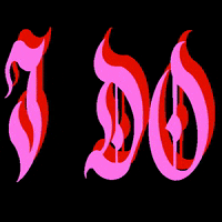 EvanKlar i do ido evanklar evan klar GIF