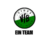vfbknielingen fussball vfb knielingen holzbiere Sticker