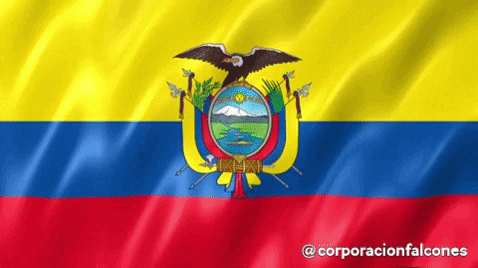 Ecuatoriano Corporacion GIF by Corporación Falcones Ecuador