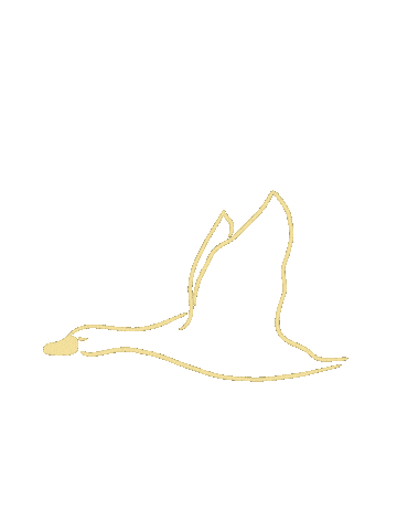 spicealley giphyupload yum duck sydney Sticker