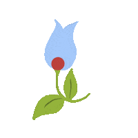 Kaszuby Sticker