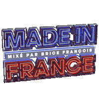 France Bricefrancois Sticker by BF Agency