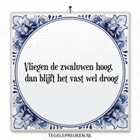 Hoop Nl GIF by Tegelspreuken.nl