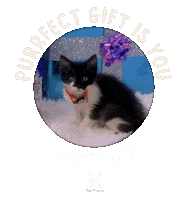 Adopt Best Friends Sticker by Best Friends Animal Society