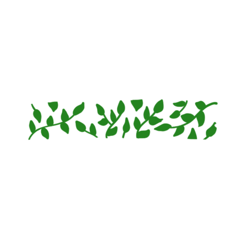 Plants Leaves Sticker