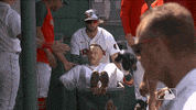 Major League Baseball Sport GIF by MLB
