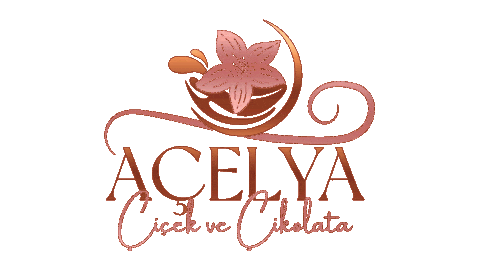 acelyacicek giphyupload açelya çikolata açelya çiçek acelya cicek Sticker