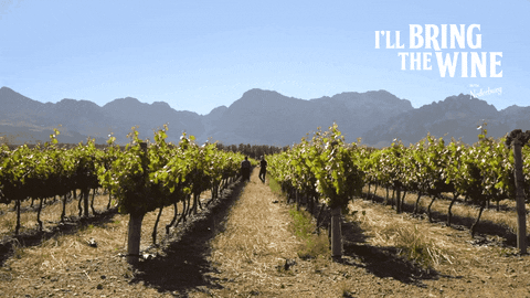 Ice Cream Wine GIF by Nederburg