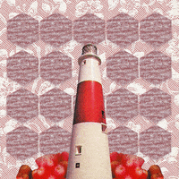Color Collage GIF