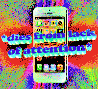 cats love GIF by PEEKASSO