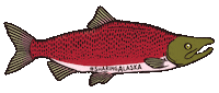 Homer Fishing Sticker by Sharing Alaska