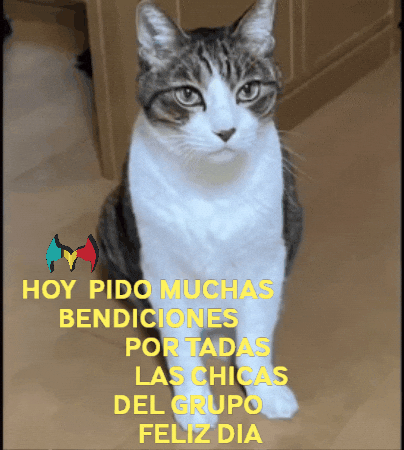 Las Chicas Amigos GIF by Murcianys LLC