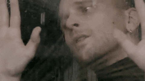 giphy.gif