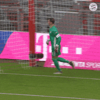Football Sport GIF by FC Bayern Munich