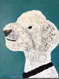 Over The Top Wtf GIF by The LSD Hotel