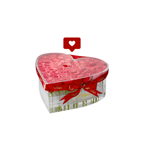 Red Rose Flowers Sticker by Petalier