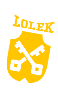 Festival Sh Sticker by Acamps South