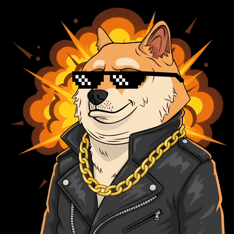 Shiba Inu Deal With It GIF by Doge Pound