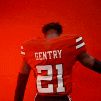 Tristian Gentry GIF by Texas Tech Football