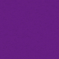 wingsart fight angry women scream GIF