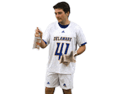 College Sports Ncaa Sticker by Delaware Blue Hens