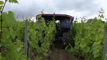3D Wine GIF by ifm_electronic