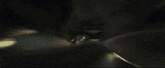 ben stiller film GIF