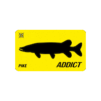 Pike Addict Sticker by jipe_fishxplorer