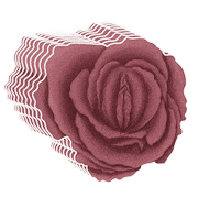 julianahellmuth rose vagina womanhood femininity Sticker