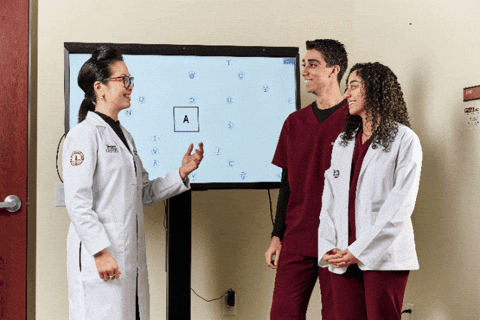 westernuco giphygifmaker giphyattribution GIF