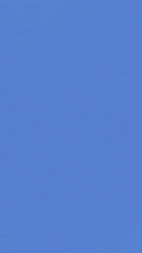 Bald Eagle GIF