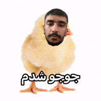 شدممم GIF