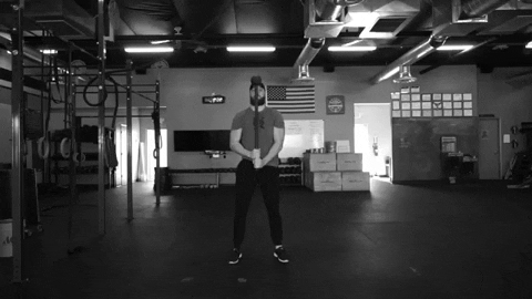 setforset giphygifmaker GIF