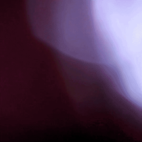 GIF by STAR