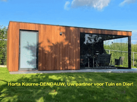 lievendendauw giphygifmaker veranda tuinhuis tuinhout GIF