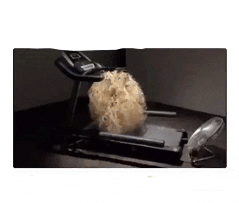 zaratan giphygifmaker GIF