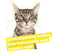 Koraki Za Tacke Sticker by Lidl Slovenija
