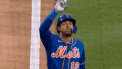 Happy Major League Baseball GIF by New York Mets