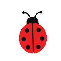Ladybug Insects Sticker by entomologando