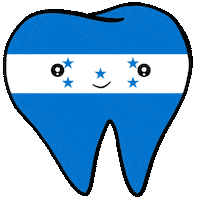 Flag Smile Sticker