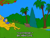 homer simpson GIF