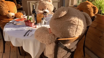Restaurant Owner Fills Seats With Teddy Bears Amid COVID-19 Shutdown in France