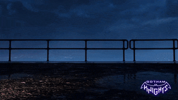 Red Hood Robin GIF by WBGames
