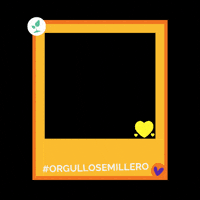 Ong Estudiante GIF by SemilleroDigital