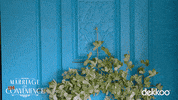 Who Is It Hello GIF by MyPetHippoProductions