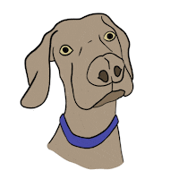 Albertoalonso Sticker by milagrosbonasso