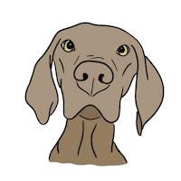Albertoalonso Sticker by milagrosbonasso
