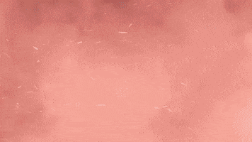 Challenge Total Madness GIF by The Challenge